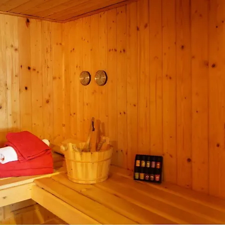 Villa Unger Altenberg (Montes Metalíferos)