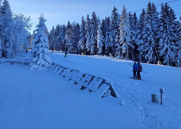 Unger Villa Altenberg